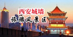 黄片骚片中国陕西-西安城墙旅游风景区